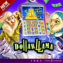 Dollar Llama